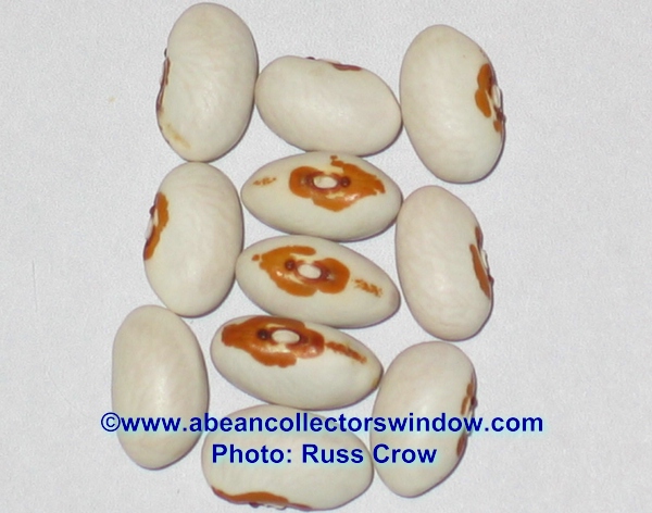 Knepleys Forty Bushel