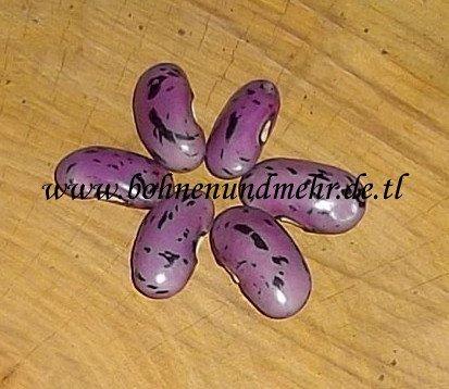 Grano Bicolor