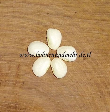 # Weiße Mondbohne (Lima Bean)