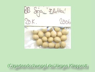 Zlatka (Sojabean)