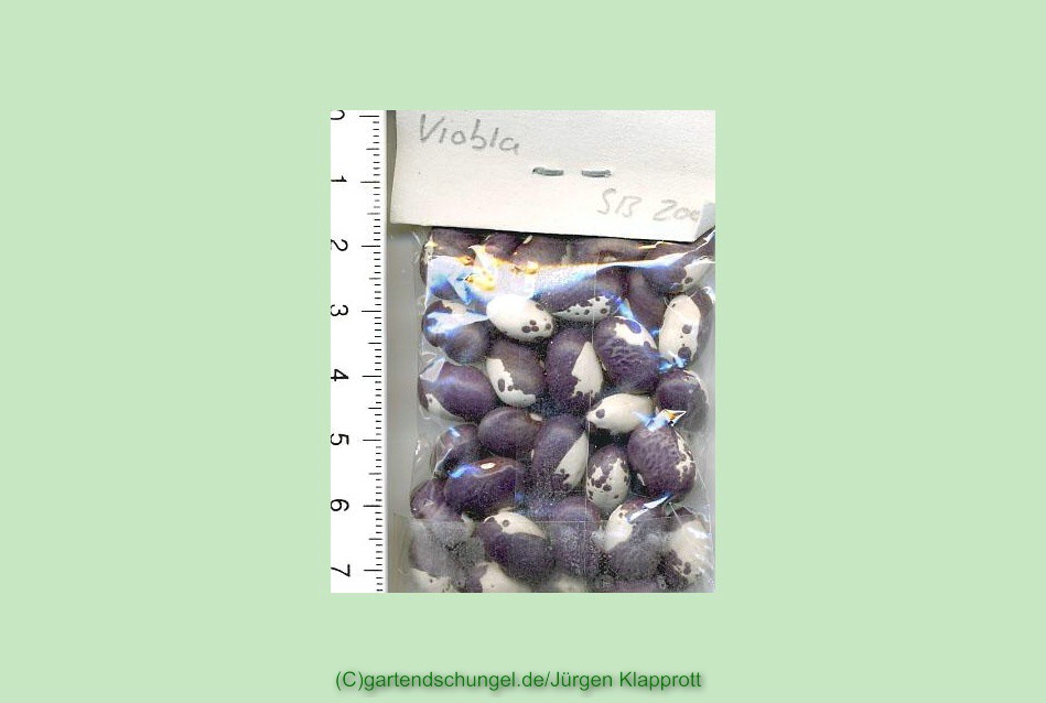 Viobla
