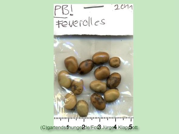 Feverolles