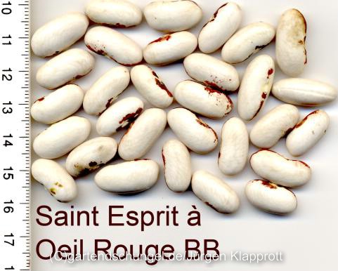 Saint Esprit a Oeil Rouge