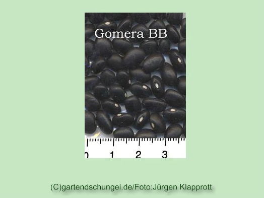 Gomera