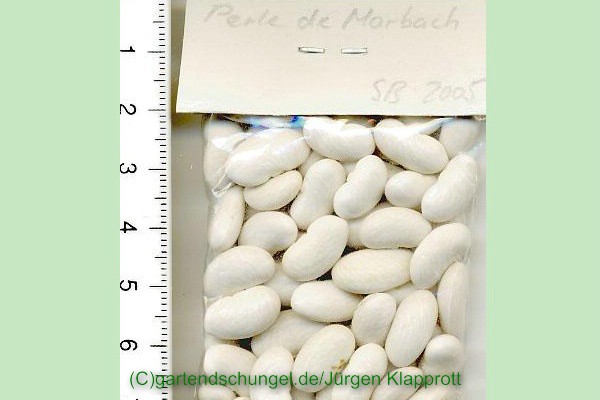 Perle von Marbach
