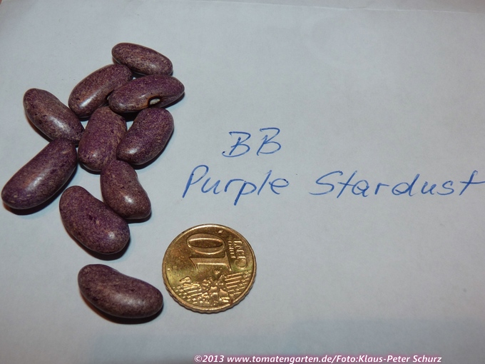 Purple Stardust