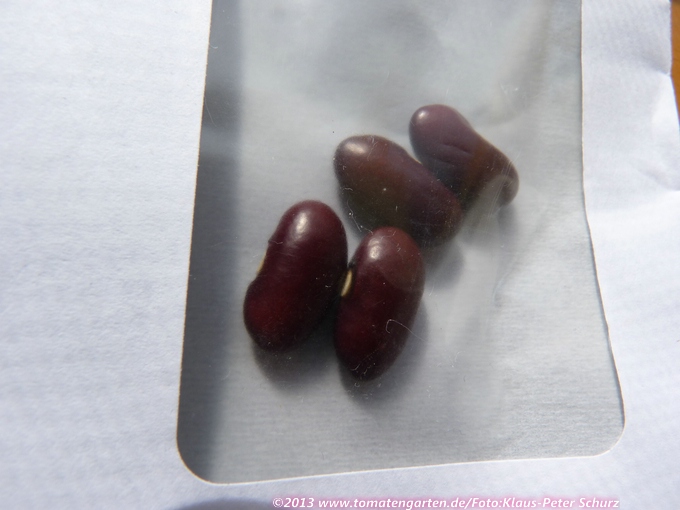 Rote von Paris