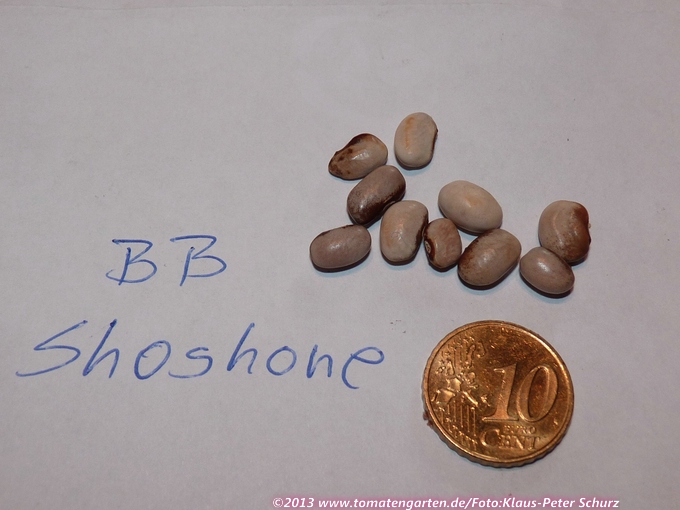 Shoshone