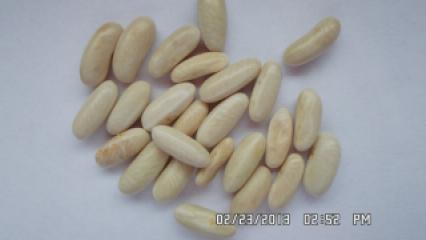 Adour