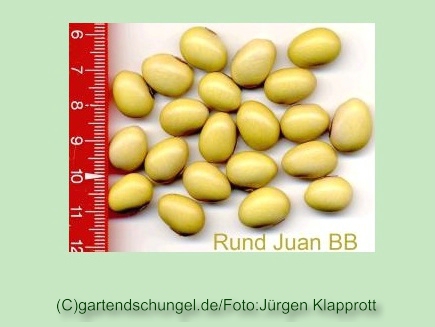 Rund Juan