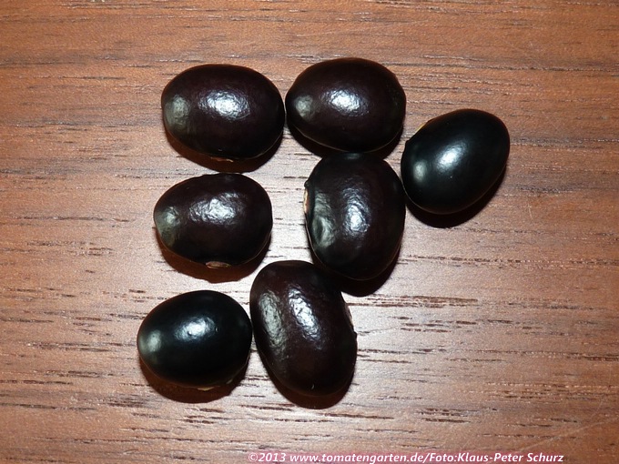 Black Coco