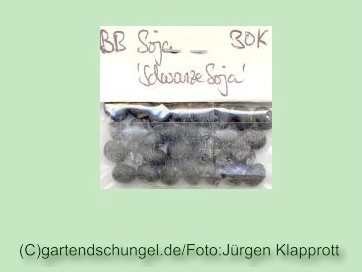 Schwarze Soja (Sojabean)
