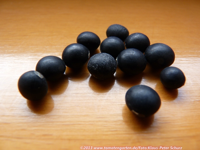 Kuromana (Sojabean)