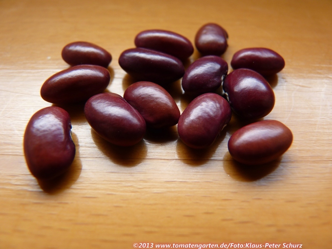 Mount Pima Plum