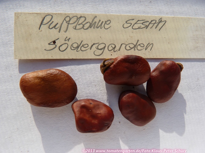 Södergarden
