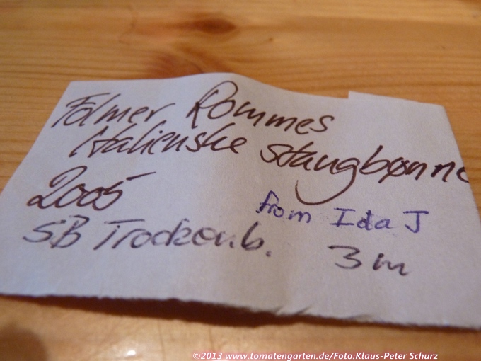 Folmer Rommes