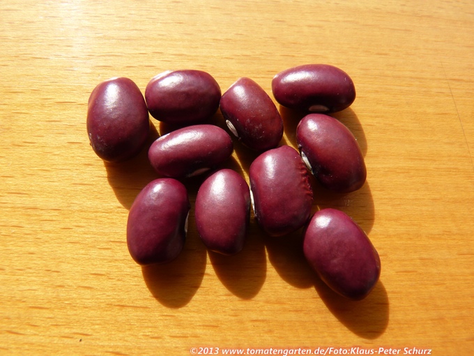 Frijoles Tintos de Granada