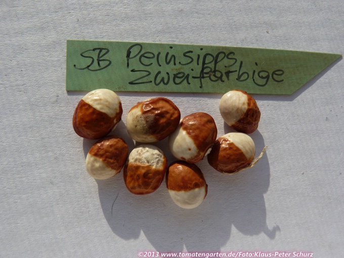 Peinsipps Zweifarbige