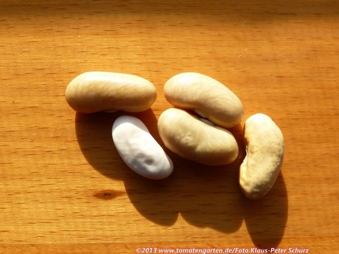 Rychlovarka