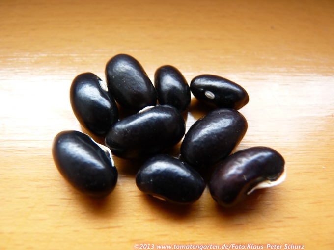 Schwarze Römische