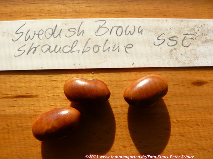 Swedish Brown
