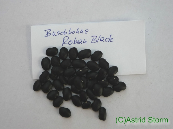 Roban Black