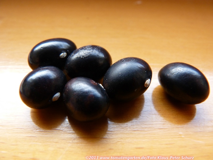 Black Pebbles