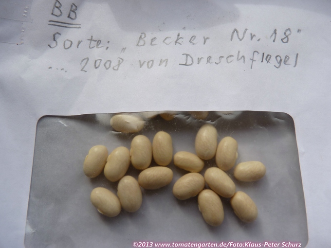 Dr. Becker No. 18