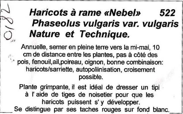 Nebel