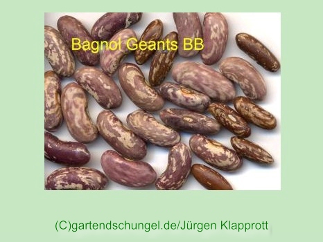 Bagnol Geants