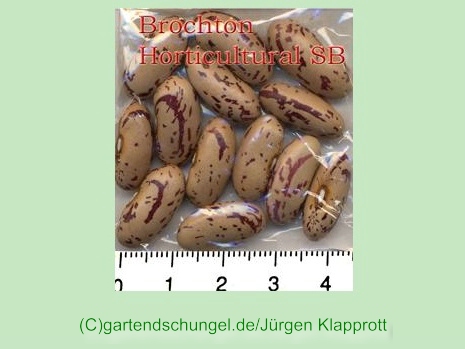 Brochton Horticural