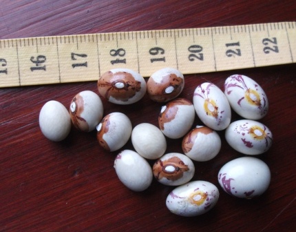 Cara La Virgen De La Bañera Leo