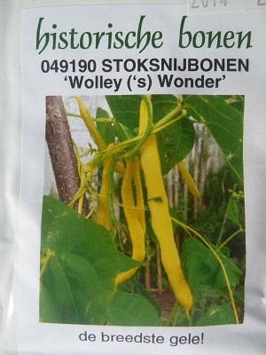 Wolley ('s) Wonder
