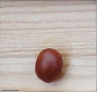 Kleintjes