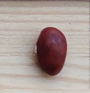 Rose De Coree