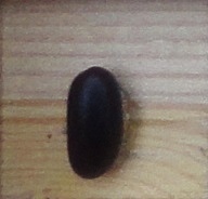 Rognon De Coq