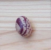Vermont Cranberry (2)