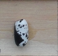 Jacob's Cattle Buda