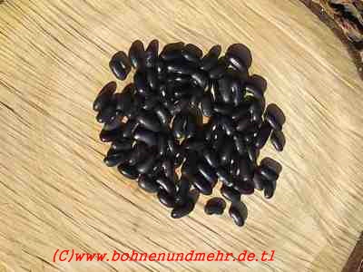 Pencil Pod Black Wax