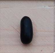 Black African