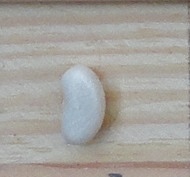 Zhuravuskha