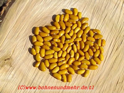 Eisbohne (grüne Bohne)