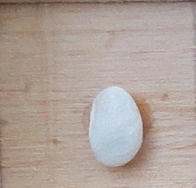 Papalini Della Val D'Orcia