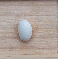 Rentegevers
