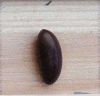 Quatre Au Metre