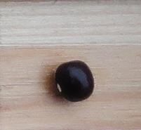 Mittois