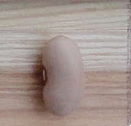 Ventre de Biche