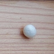 Perle Blanche