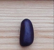 Benary's Neue Violette