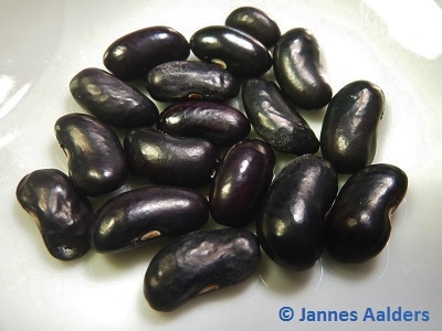 Thai Black